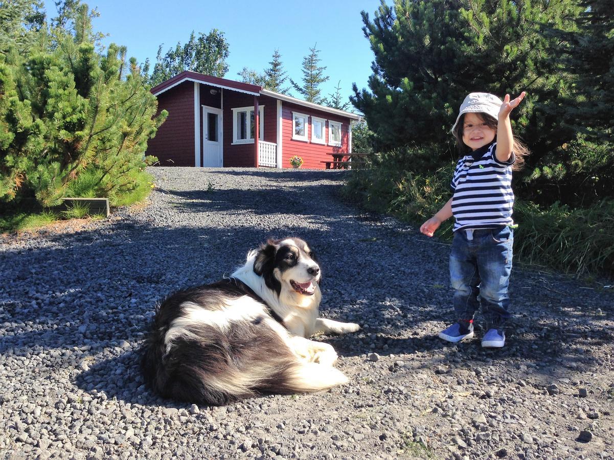 הלה Klara'S Farm Holidays מראה חיצוני תמונה
