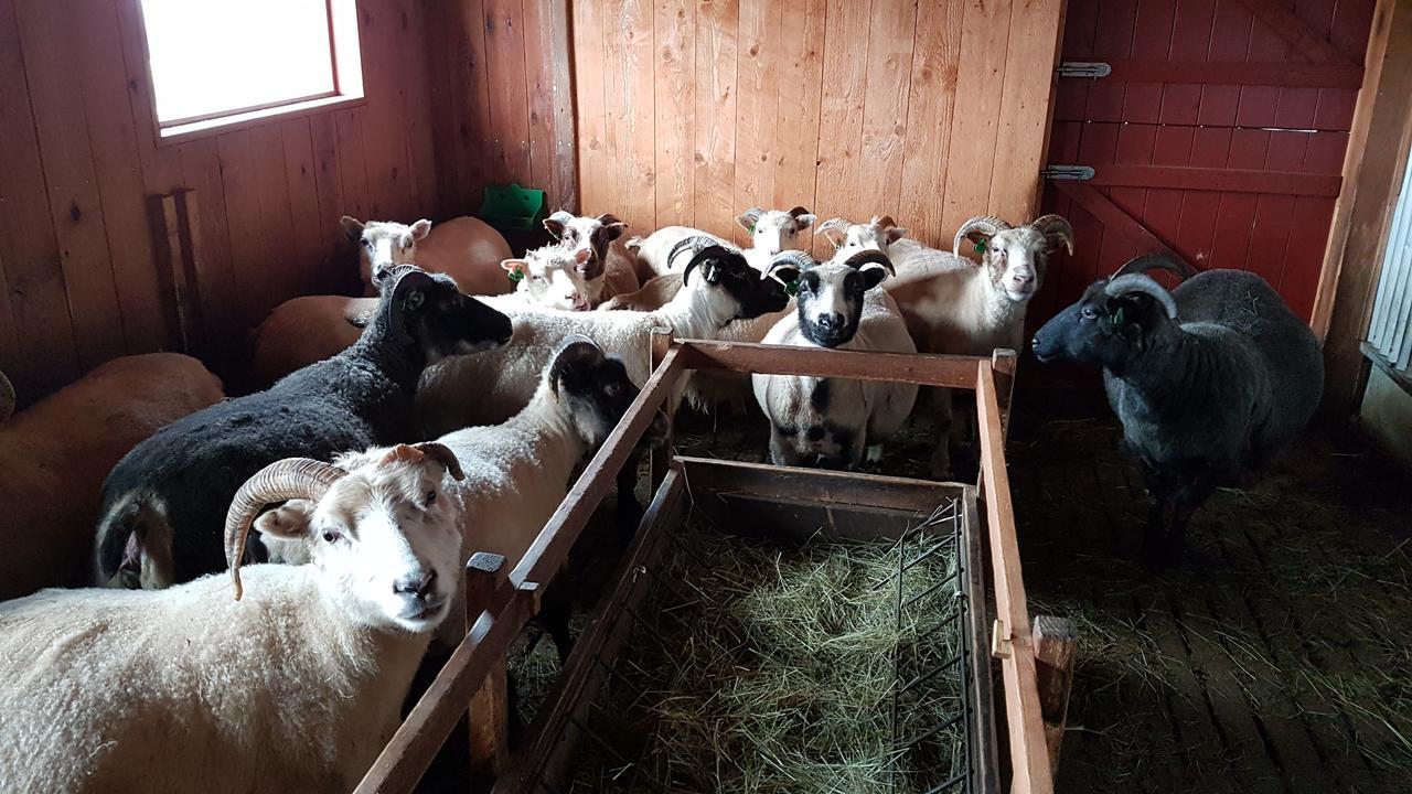 הלה Klara'S Farm Holidays מראה חיצוני תמונה