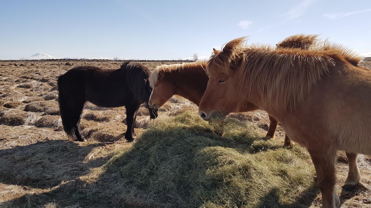 הלה Klara'S Farm Holidays מראה חיצוני תמונה